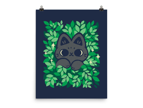 Cute Black Cat Peeking