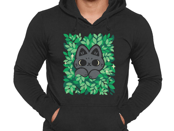 Cute Black Cat Peeking