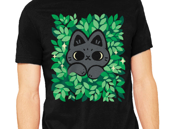 Cute Black Cat Peeking