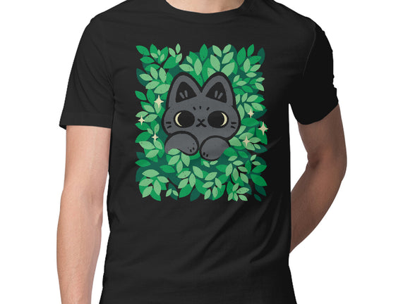 Cute Black Cat Peeking