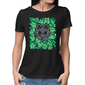 Cute Black Cat Peeking