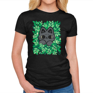 Cute Black Cat Peeking