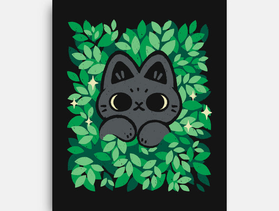 Cute Black Cat Peeking