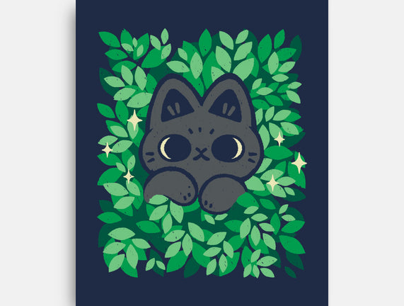 Cute Black Cat Peeking