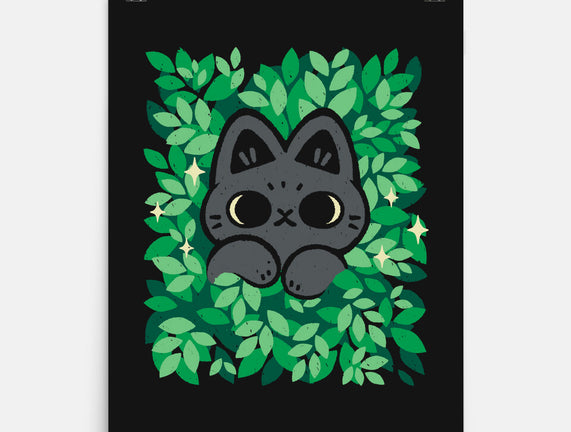 Cute Black Cat Peeking