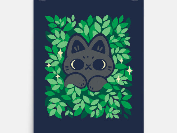 Cute Black Cat Peeking