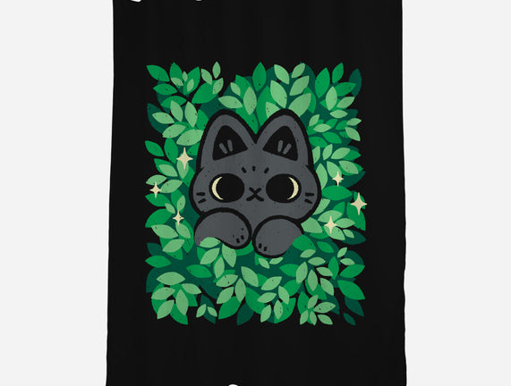 Cute Black Cat Peeking