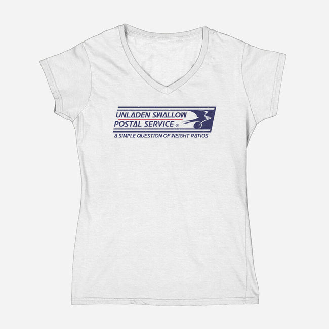 Unladen Swallow Postal Service-Womens-V-Neck-Tee-kg07