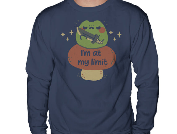 I'm At My Limit