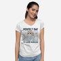 Perfect Day To Cause Problems-Womens-V-Neck-Tee-GODZILLARGE