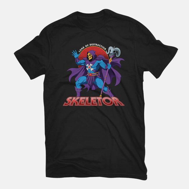 Lord Of Destruction-Mens-Heavyweight-Tee-hirolabs