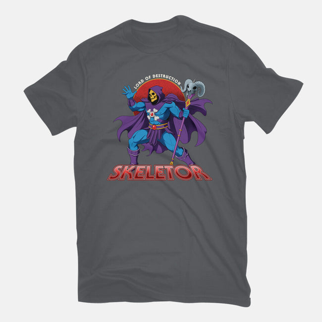 Lord Of Destruction-Mens-Heavyweight-Tee-hirolabs