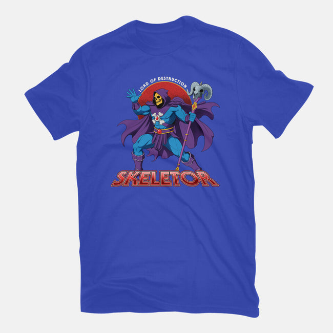 Lord Of Destruction-Womens-Fitted-Tee-hirolabs
