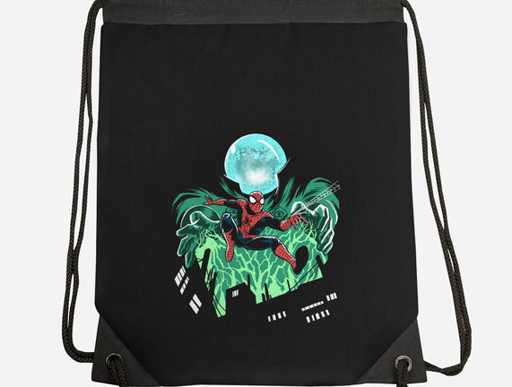 Mysterio Over The Spider