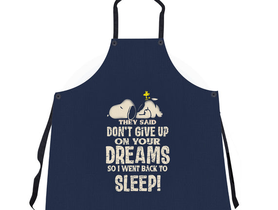Don't Give Up On Your Dreams