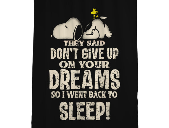 Don't Give Up On Your Dreams