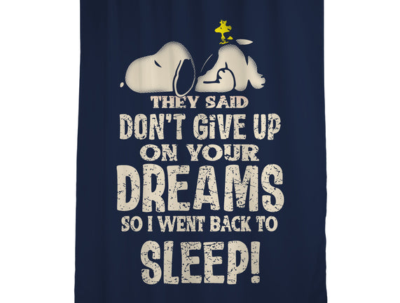Don't Give Up On Your Dreams