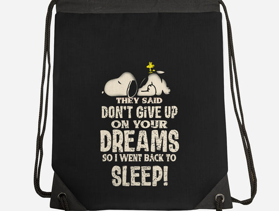 Don't Give Up On Your Dreams