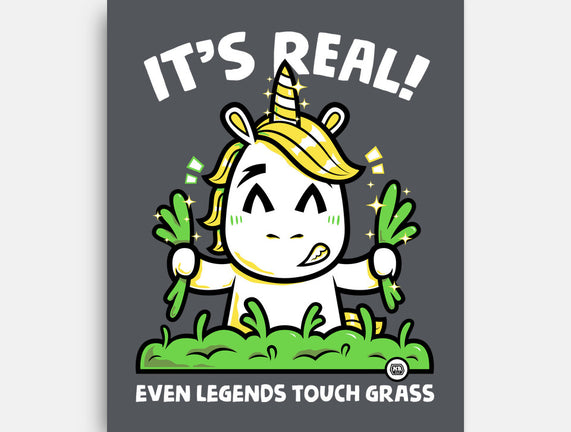 Even Legends Touch Grass