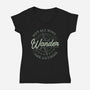 Not All Who Wander Are Outside-Womens-V-Neck-Tee-tobefonseca