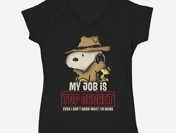 Top Secret