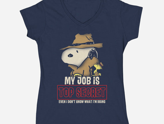 Top Secret