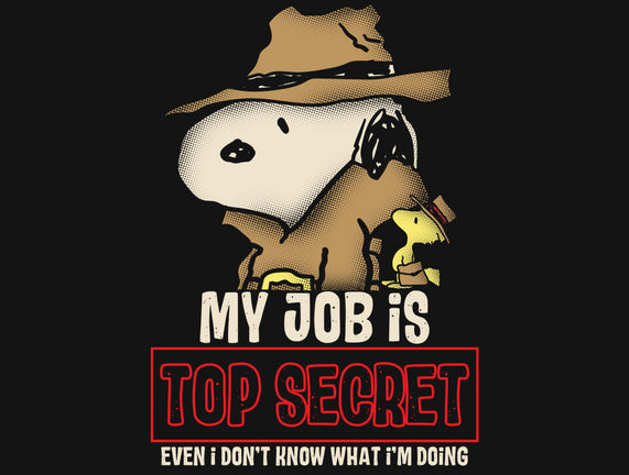 Top Secret