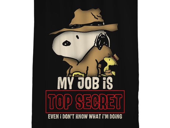Top Secret