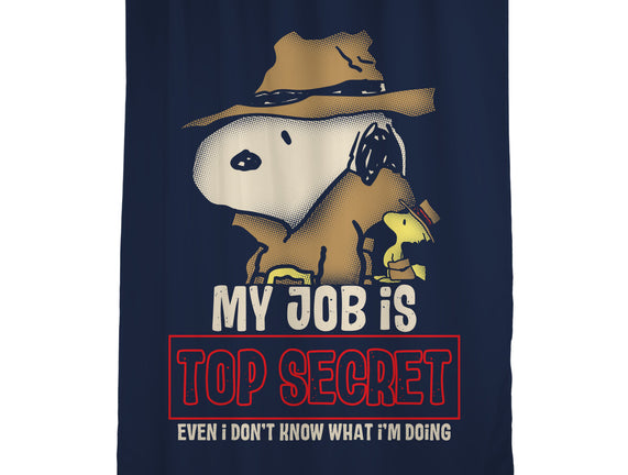 Top Secret