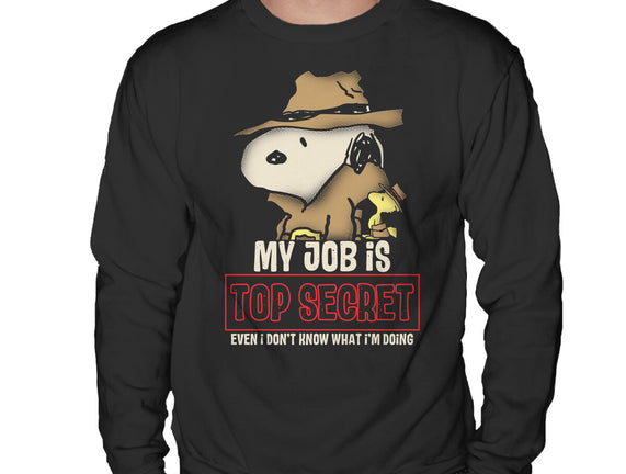 Top Secret