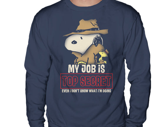 Top Secret
