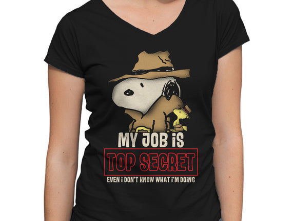 Top Secret