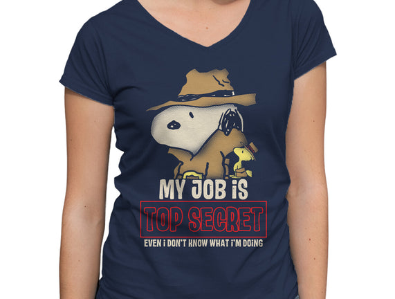 Top Secret