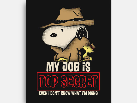 Top Secret