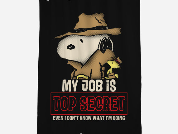 Top Secret