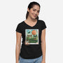 Delivery Express Mail Stamp-Womens-V-Neck-Tee-dandingeroz
