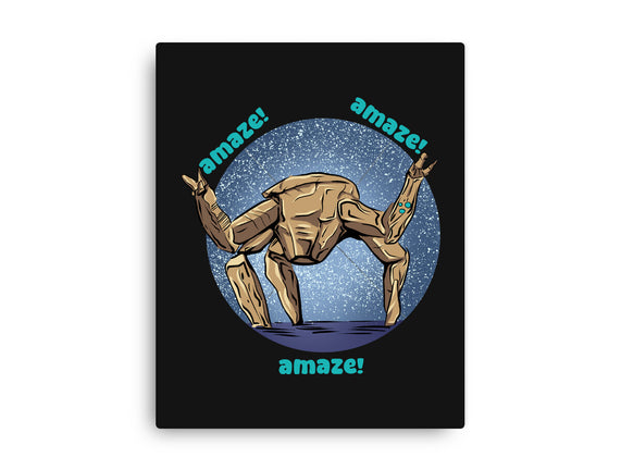 Amaze Rock
