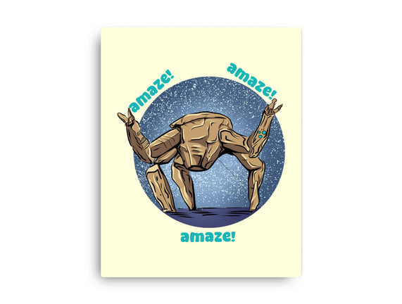 Amaze Rock
