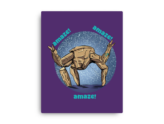 Amaze Rock