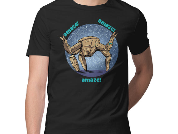 Amaze Rock