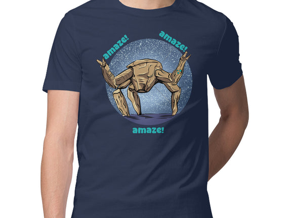 Amaze Rock