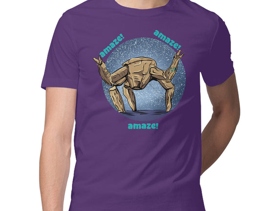 Amaze Rock