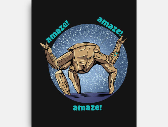 Amaze Rock