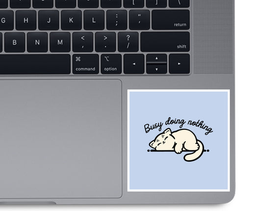 Kitty Busy Doing Nothing