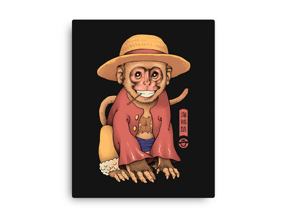 Monkey Pirate King