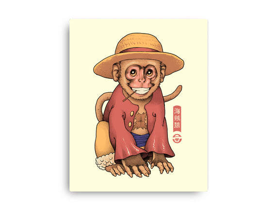 Monkey Pirate King