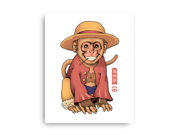 Monkey Pirate King