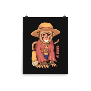 Monkey Pirate King