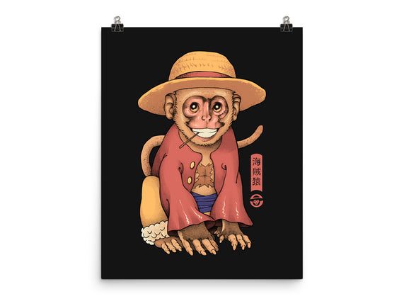 Monkey Pirate King