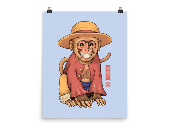 Monkey Pirate King